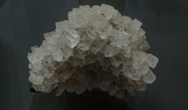 Magnesium group Personalities in Homeopathy